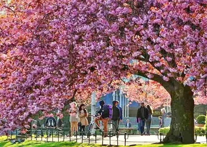 Lille Ovregate Daire *