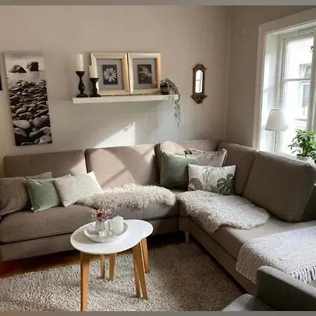 Lille Ovregate Apartment *