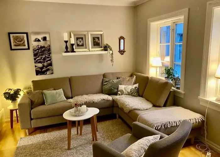 Lille Ovregate Appartement *