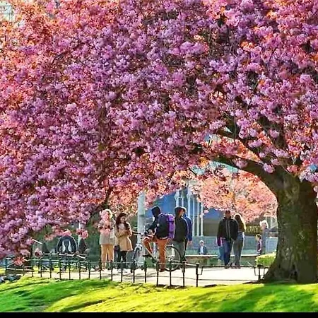 Lille øvregate Leilighet *